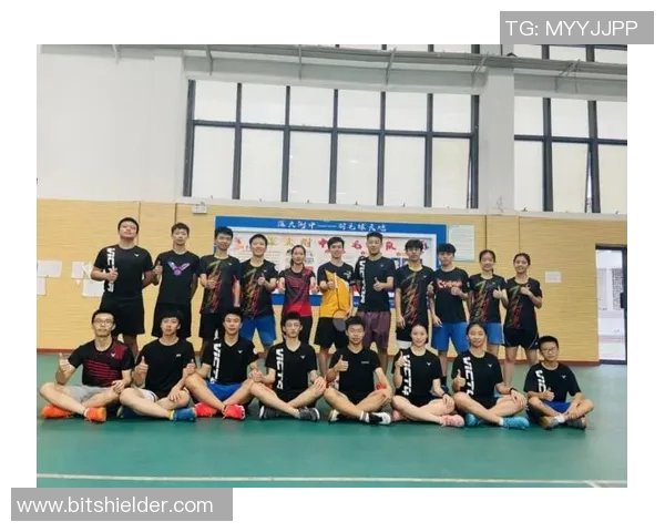 深圳羽毛球队状态对比深度解析及未来发展趋势探讨 深圳羽毛球队状态对比深度解析及未来发展趋势探讨